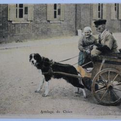 CPA Loiret Attelage de chien Série Orléans éd. Lenormand