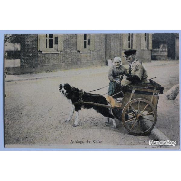 CPA Loiret Attelage de chien Srie Orlans d. Lenormand