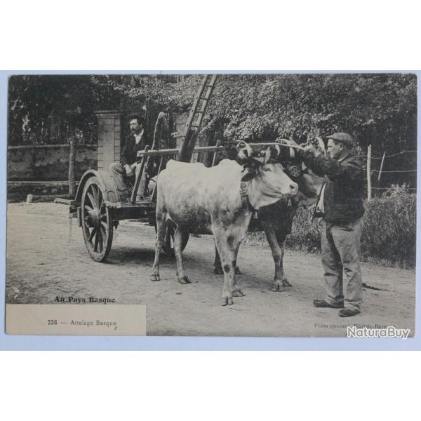 CPA Pyrnes-Atlantiques Au Pays Basque Attelage basque Boeufs