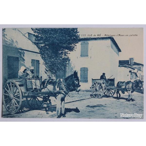 CPA Charente-Maritime le de R Attelages nes en culotte