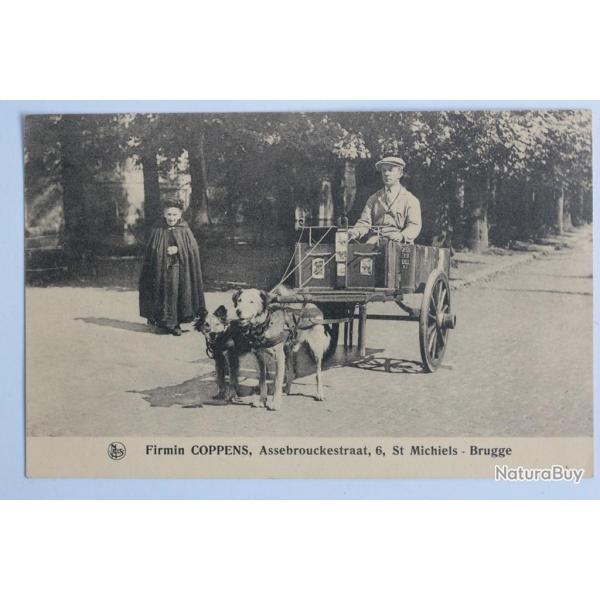 CPA Belgique Bruges Voiture  chien Firmin Coppens