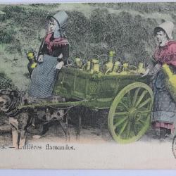 CPA Belgique Bruxelles Laitières Flamandes Attelage de chiens