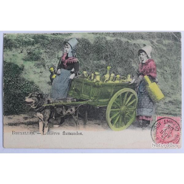 CPA Belgique Bruxelles Laitires Flamandes Attelage de chiens