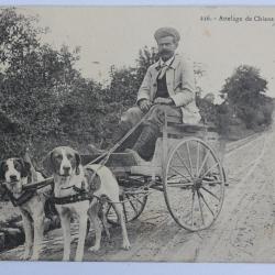 CPA Loiret Un attelage de chiens