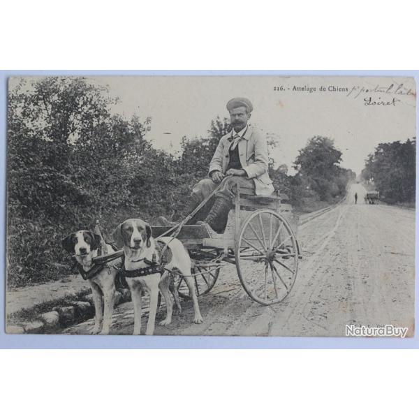 CPA Loiret Un attelage de chiens