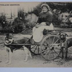 CPA Loiret Gien Attelage Giennois Voiture à chien