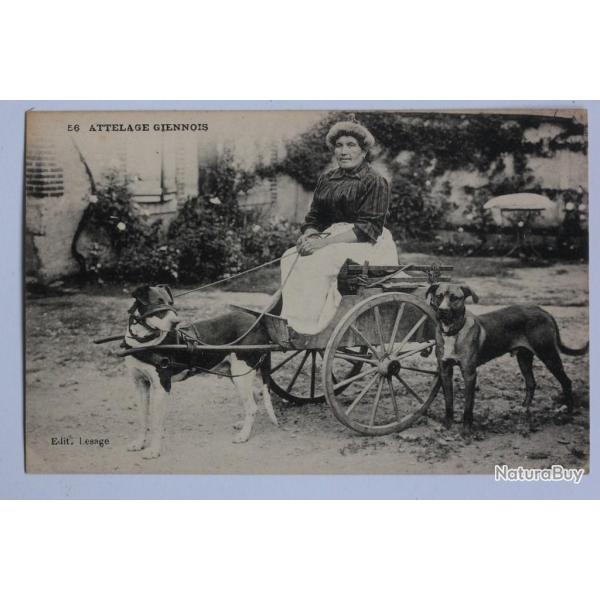 CPA Loiret Gien Attelage Giennois Voiture  chien