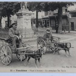 CPA Vendôme Place d'Armes En attendant les Taxis Voiture à chien