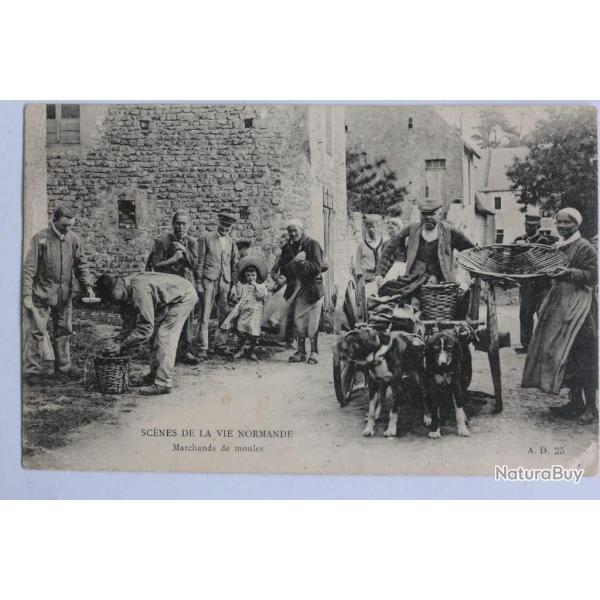 CPA Scnes de la Vie Normande Marchands de Moules Voiture  chien