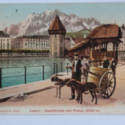 CPA Suisse Luzern Kapellbrücke und Pilatus Attelage de chiens