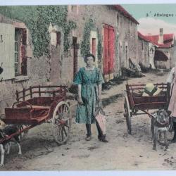 CPA Loiret Attelage de chien Série Orléans éd. Lenormand