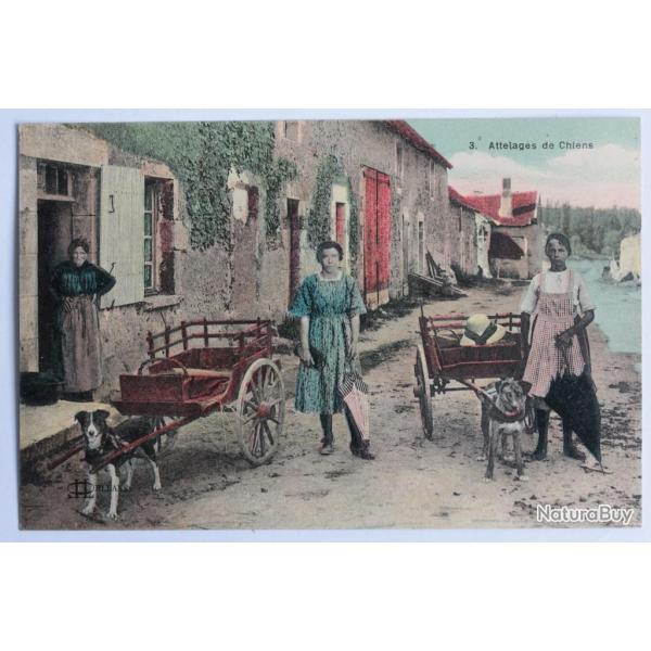 CPA Loiret Attelage de chien Srie Orlans d. Lenormand
