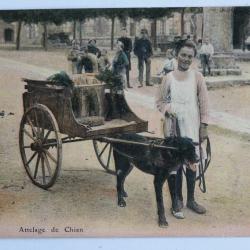 CPA Loiret Attelage de chien Série Orléans éd. Lenormand