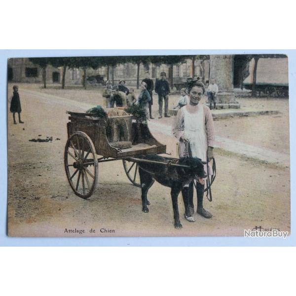 CPA Loiret Attelage de chien Srie Orlans d. Lenormand