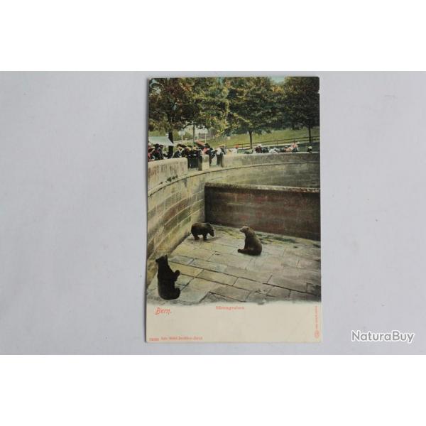 CPA Berne Brengraben Fosse aux Ours Suisse