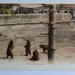 CPA Berne Bärengraben Fosse aux Ours Suisse