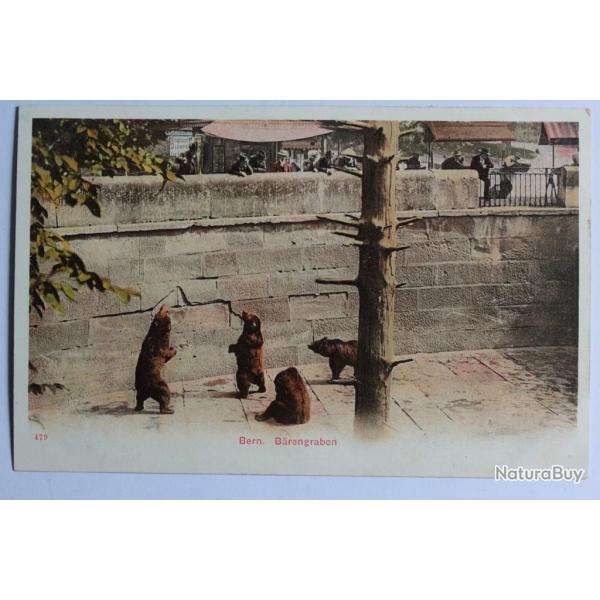 CPA Berne Brengraben Fosse aux Ours Suisse