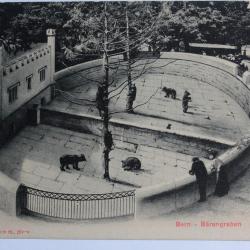 CPA Berne Bärengraben Fosse aux Ours Suisse