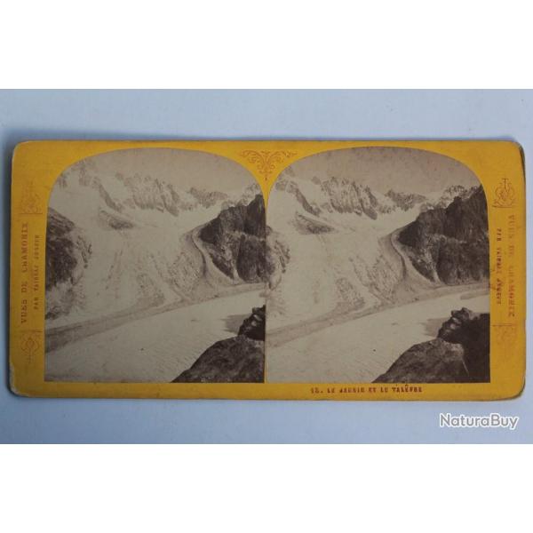 Photographie Vue stro Le jardin et le Talfre Chamonix