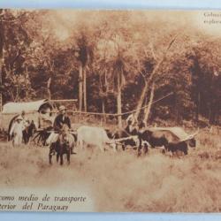 CPA Las carretas como medio de transporte en el interior del Paraguay