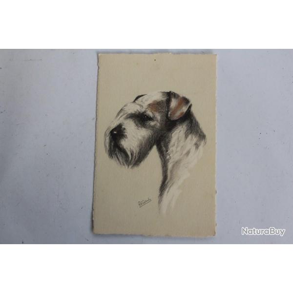 CPA illustre Gauli Chien Sealyham Terrier
