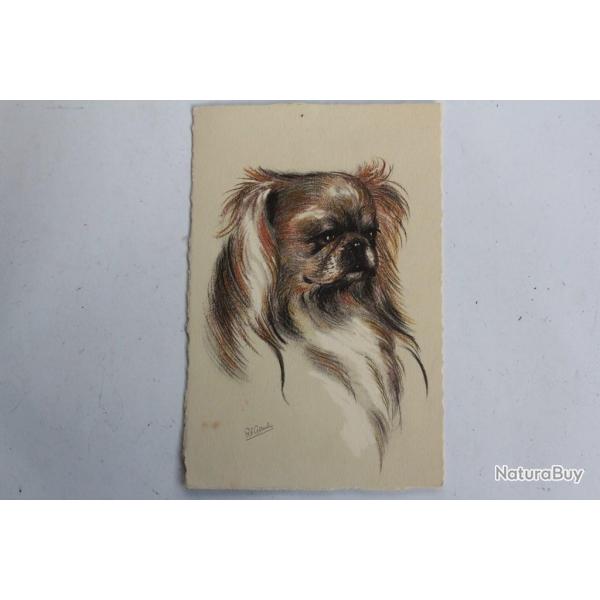 CPA illustre Gauli Chien Pekingese Pkinois