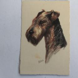 CPA illustrée Gauli Chien Airedale Terrier