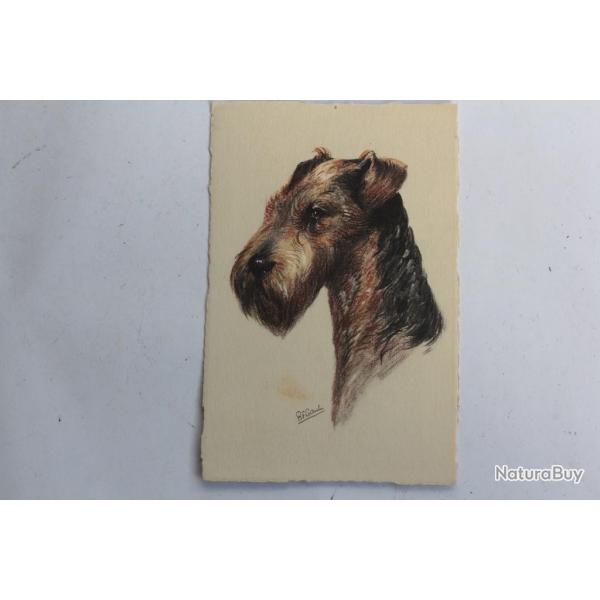 CPA illustre Gauli Chien Airedale Terrier