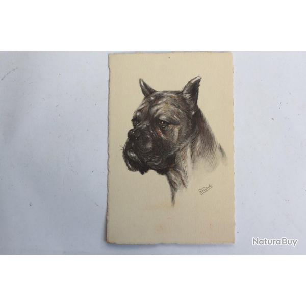 CPA illustre Gauli Chien Boxer