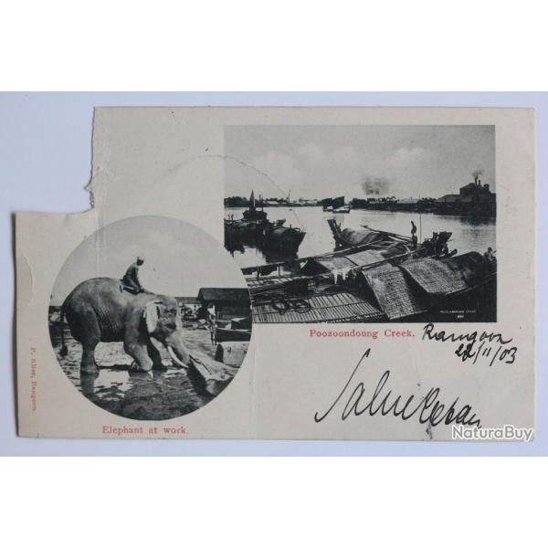 CPA Myanmar Poozoondoung Creek Elephant at work Birmanie