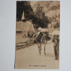 CPA Muletier à Charmey Fribourg Suisse