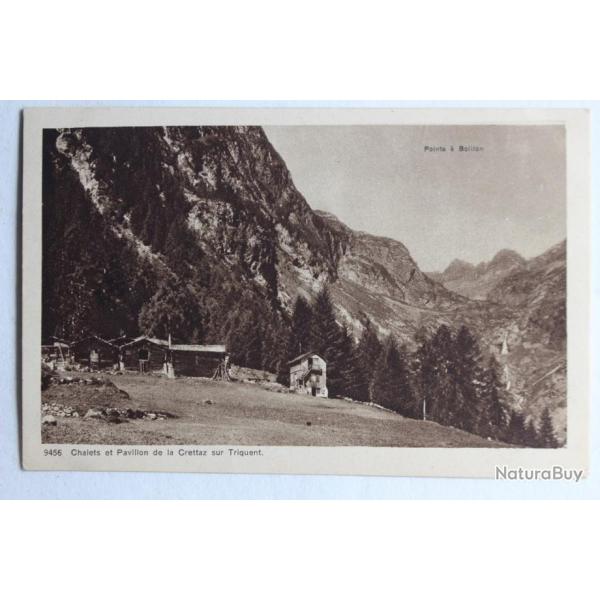 CPA Chalets et Pavillon de la Crettaz sur Triquent Valais Suisse