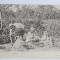 Carte postale ancienne La tonte des moutons Algérie