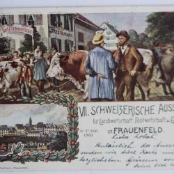 Carte postale ancienne Schweizerische Ausstellung Frauenfeld 1903 Suisse