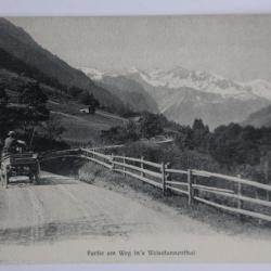 Carte postale ancienne Partie am Weg in's Weisstannenthal Suisse