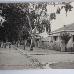 Carte postale ancienne Duperré Boulevard Sud Côté est Algérie
