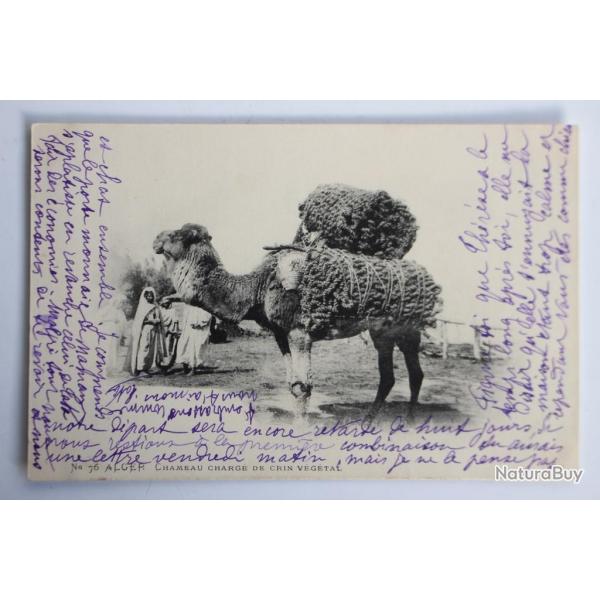 Carte postale ancienne Alger Chameau charg de crin vgtal Algrie