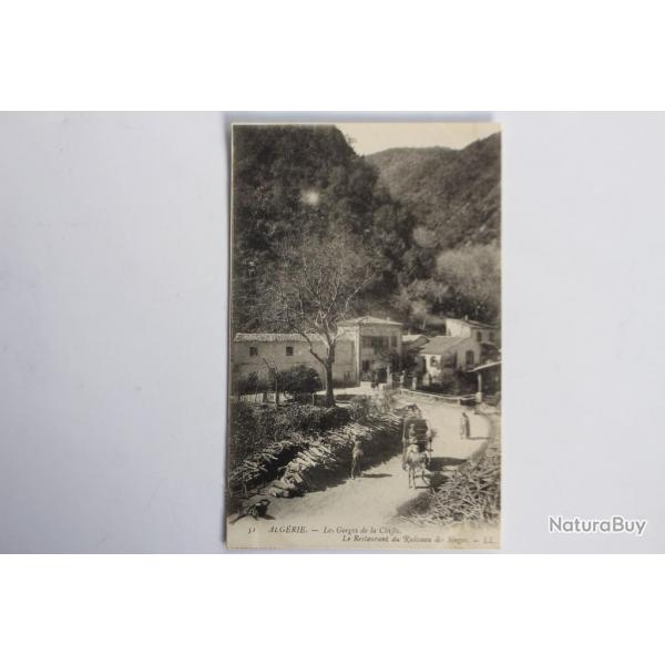 Carte postale ancienne Les gorges de la Chiffa Restaurant Algrie