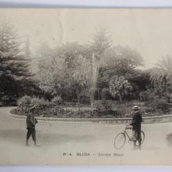 Carte postale ancienne Blida Jardin Bizot Algérie
