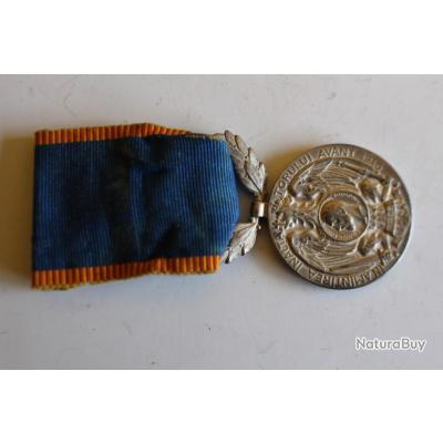 Rare médaille commémorative 1918, armée des hauts plateaux WW1 14/18