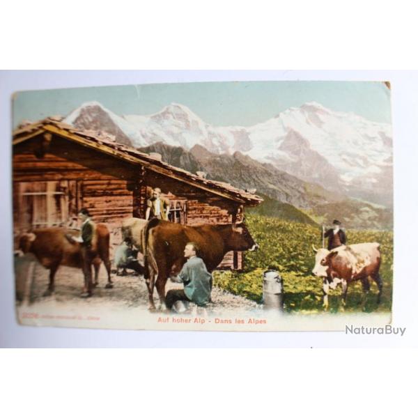 Carte postale Suisse Dans les Alpes Auf hoher Alp