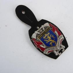 Insigne Pompier Bormes Les Mimosas