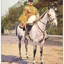 CPA Militaria illustrateur Oilette  Life Guards Trumpeter