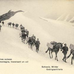CPA Militaria Soldats Régiment Suisse Artillerie de montagne traversant un col chevaux