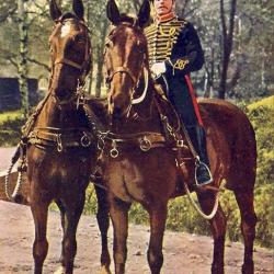 CPA MILITARIA illustrateur Oilette Royal Horse Artillery Driver