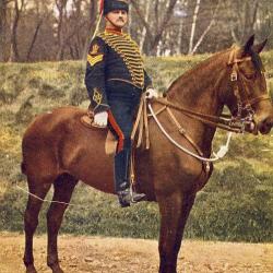 CPA MILITARIA illustrateur Oilette Royal Horse Artillery Sergeant Major