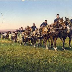 CPA militaria Armée Suisse Artillerie Cavalerie 1915