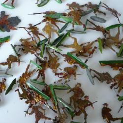 Plats d'étain soldats guerre 14-18 poilus jouets