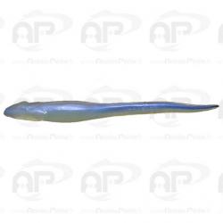 Leurre finess Megabass Hazedong 10 7 125 mm