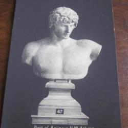 CP  STATUE BUST OF ANTINOUS